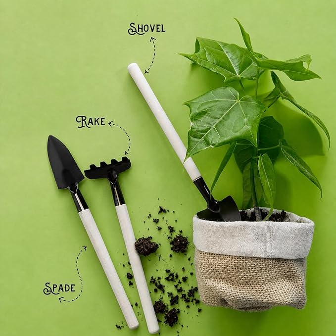 3 in 1 Garden Tool Set for Home Gardening with Wooden Handle - Hand Cultivator, Digging Trowel, Fork Tool Kit for Indoor Plants, Balcony Pots, Nursery, Soil Loosening Set of 3